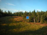19 : 50
