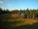 19 : 54