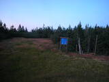 20 : 50