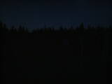 21 : 46