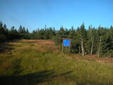 19 : 10
