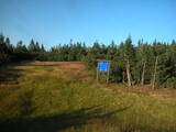 19 : 14