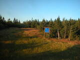 19 : 50