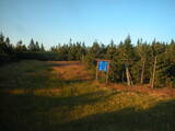 19 : 54