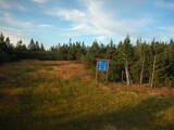 19 : 42