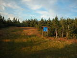 19 : 50