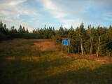 19 : 54