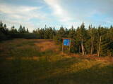 19 : 58