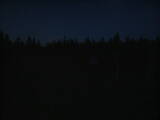 21 : 38