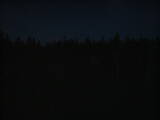 21 : 42