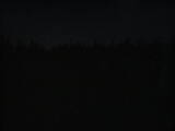21 : 50