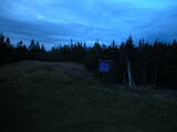 20 : 50