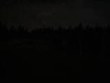 03 : 46