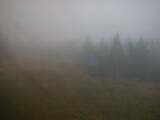 15 : 46