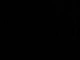 02 : 02