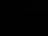 03 : 02