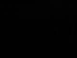 03 : 06
