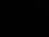 03 : 46
