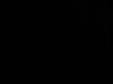 03 : 50