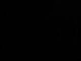 04 : 22