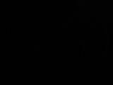 04 : 34