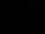 04 : 38
