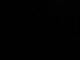 05 : 06