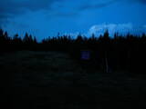 19 : 34