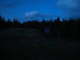 19 : 50
