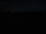 20 : 10