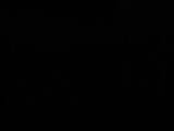 23 : 46