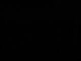 00 : 06