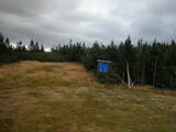 16 : 34
