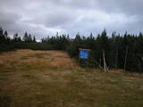 17 : 26