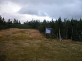 17 : 42