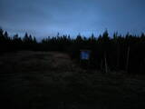 19 : 22