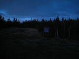 19 : 46