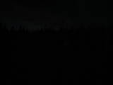 20 : 10