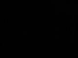 23 : 06
