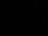 23 : 22