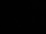 23 : 50