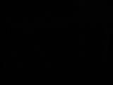 00 : 34