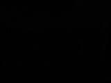 00 : 42
