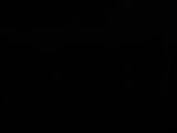 02 : 02