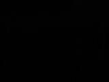 03 : 06