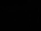 03 : 10