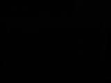 03 : 30