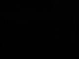 03 : 46