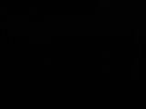 03 : 50