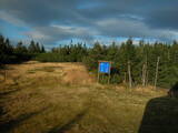 17 : 50
